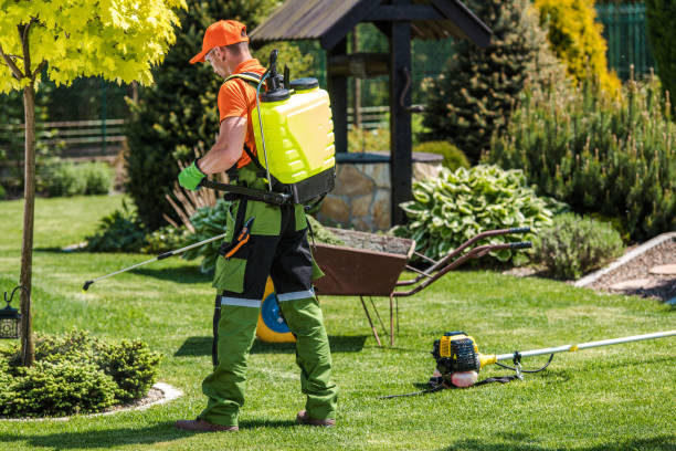 Best Lawn Pest Control  in Bridgeville, PA